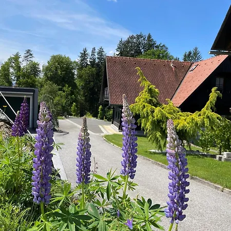Feriehus Steirerzeit